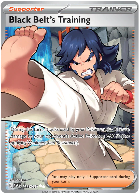 Black Belt's Training 255/217 Ultra Rare Pokemon Card (Mega Evolution Ascended Heroes)