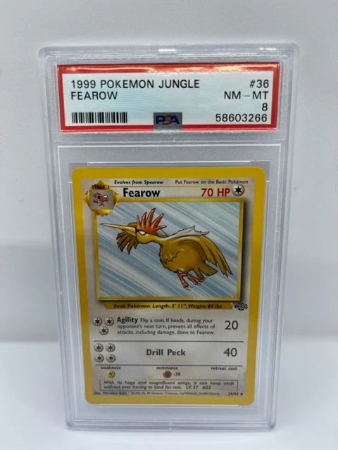 Fearow 36/64 PSA 8 Graded Uncommon Pokemon Card (1999 Pokemon Jungle)