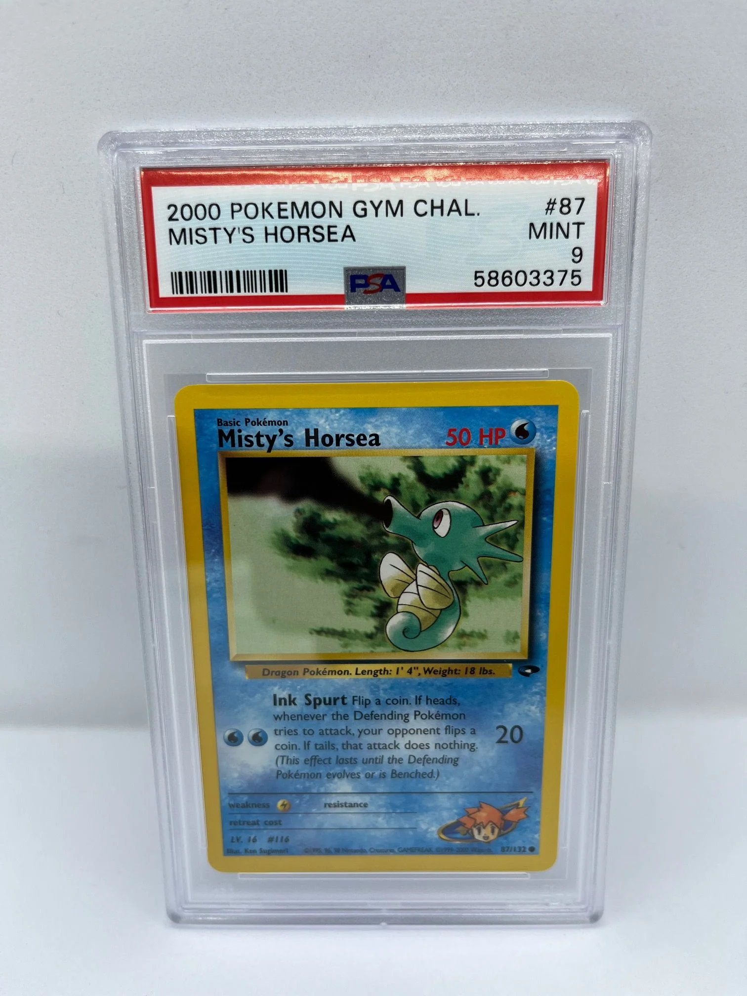 Misty's Horsea 87/132 PSA 9 Graded Common Pokemon Card (2000 Pokemon Gym Chal)