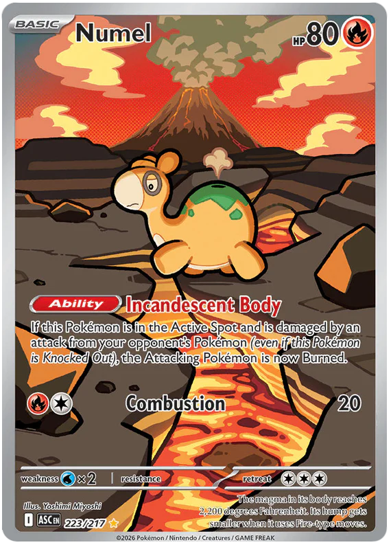 Numel 223/217 Illustration Rare Pokemon Card (Mega Evolution Ascended Heroes)