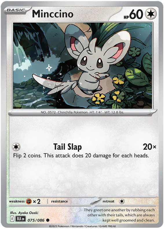 Minccino 075/086 Common Pokemon Card (Scarlet & Violet Black Bolt)