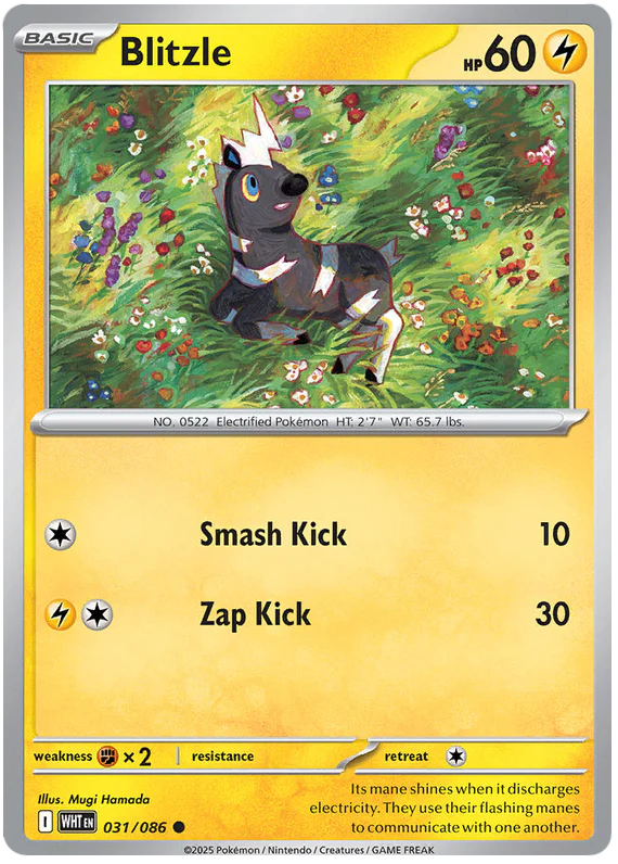 Blitzle 031/086 Common Pokemon Card (Scarlet & Violet White Flare)