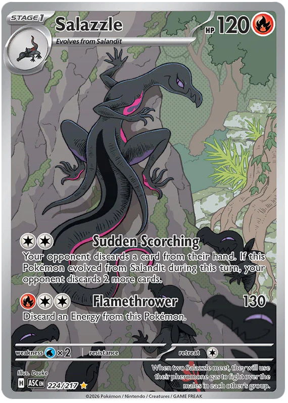 Salazzle 224/217 Illustration Rare Pokemon Card (Mega Evolution Ascended Heroes)