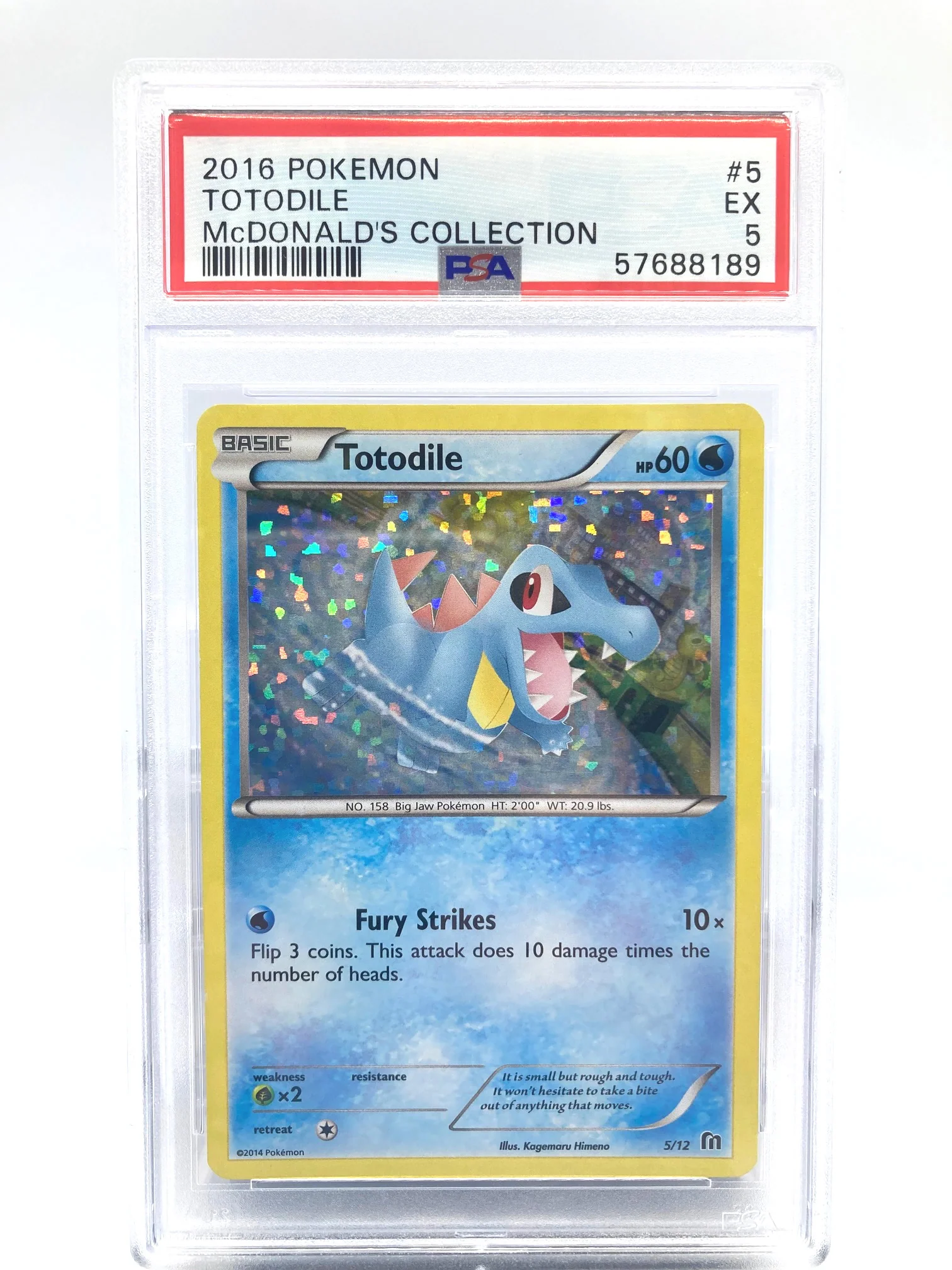 Totodile 5/12 Holo PSA 5 Graded Pokemon Card (McDonalds Pokemon Collection 2014)