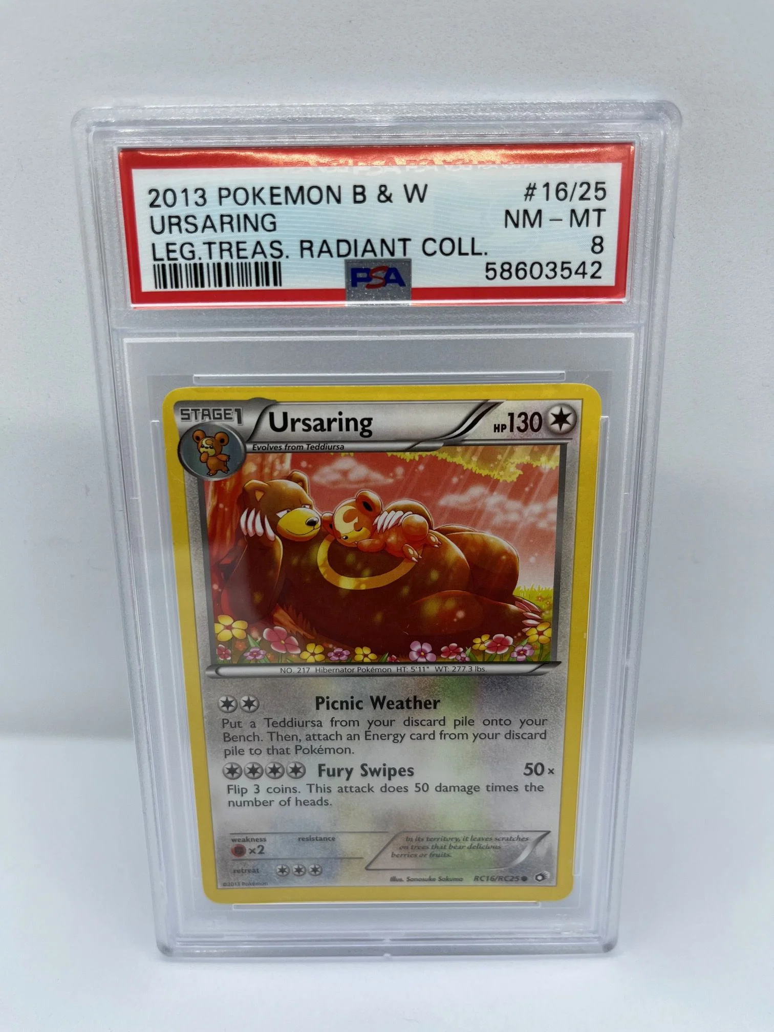 Ursaring RC16/RC25 PSA 8 Graded Common Pokemon Card (Leg Treas Radiant Collection)